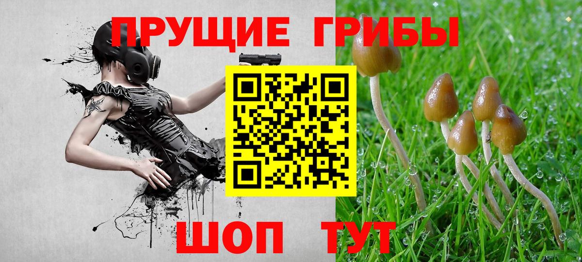 Хабаровск  Галлюциногенные грибы MAGIC MUSHROOMS  Вход с VPN 